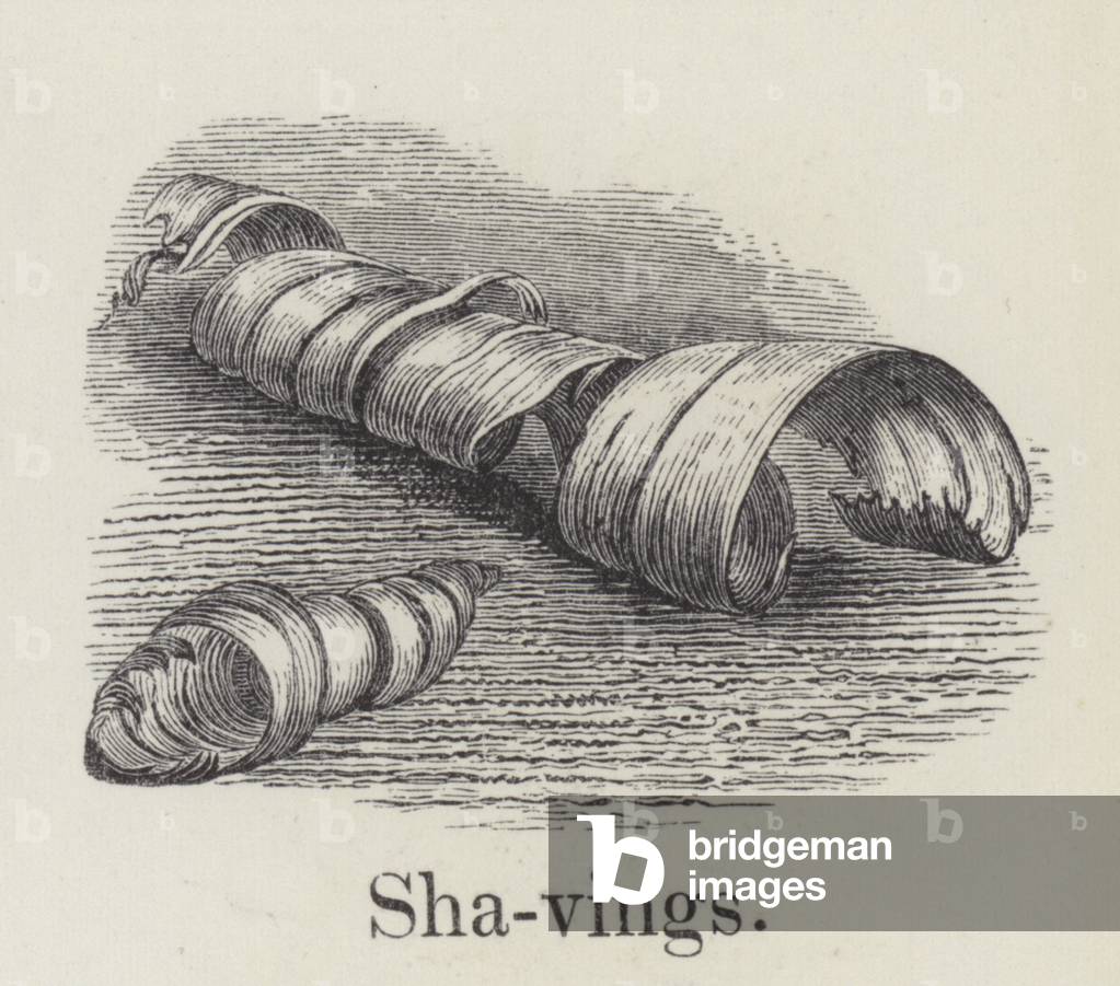 Shavings (engraving)