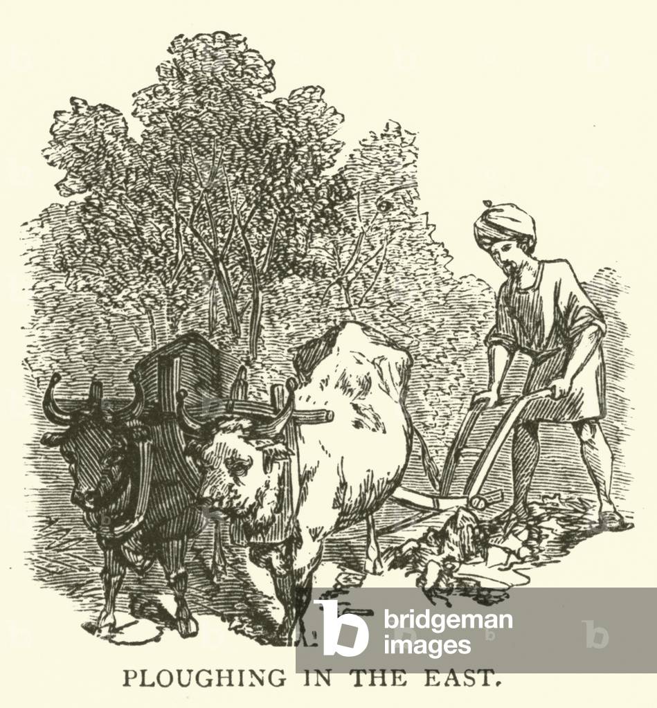 Ploughing in the East (engraving)