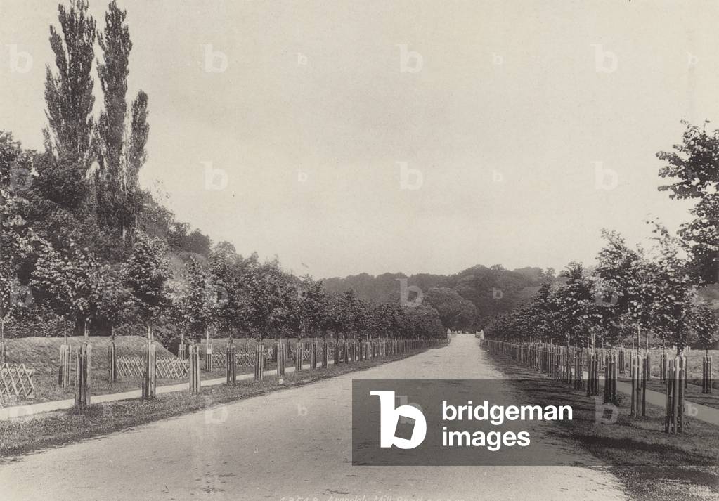 Mill Road (b/w photo)