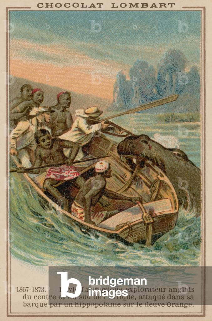 David Livingstone's boat being attacked by a hippopotamus on the Orange River, Africa, 1867-1873 (chromolitho)