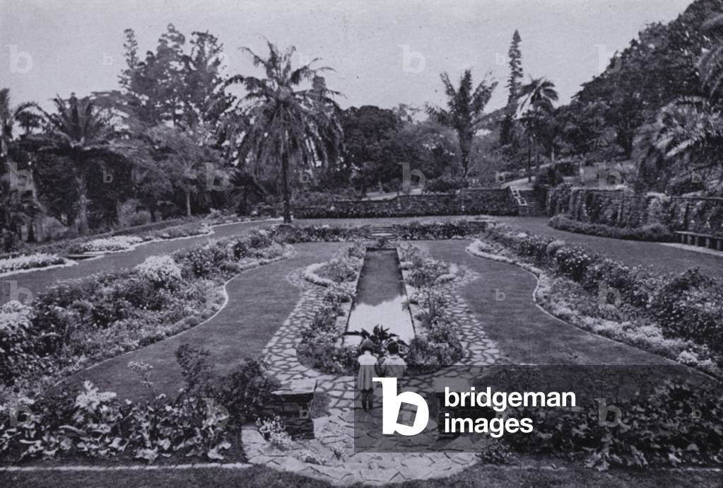 Botanical Gardens (b/w photo)