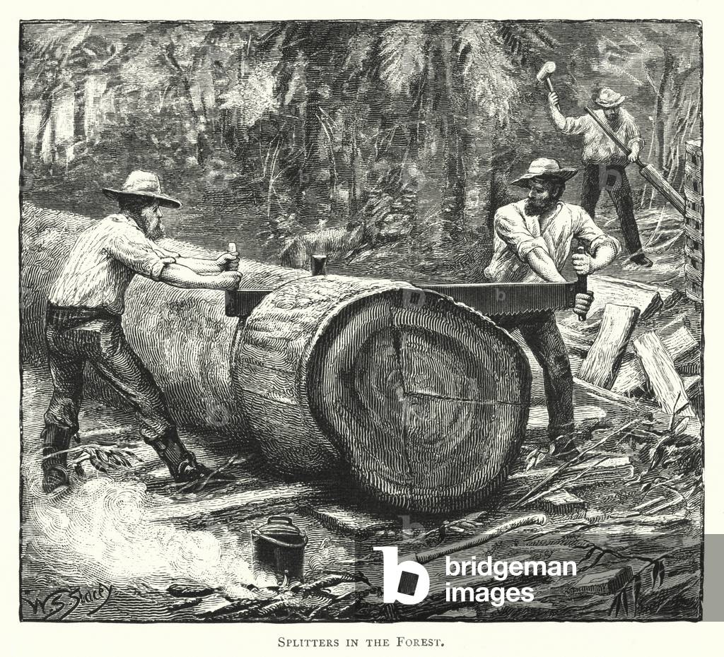 Australia: Splitters in the Forest (engraving)