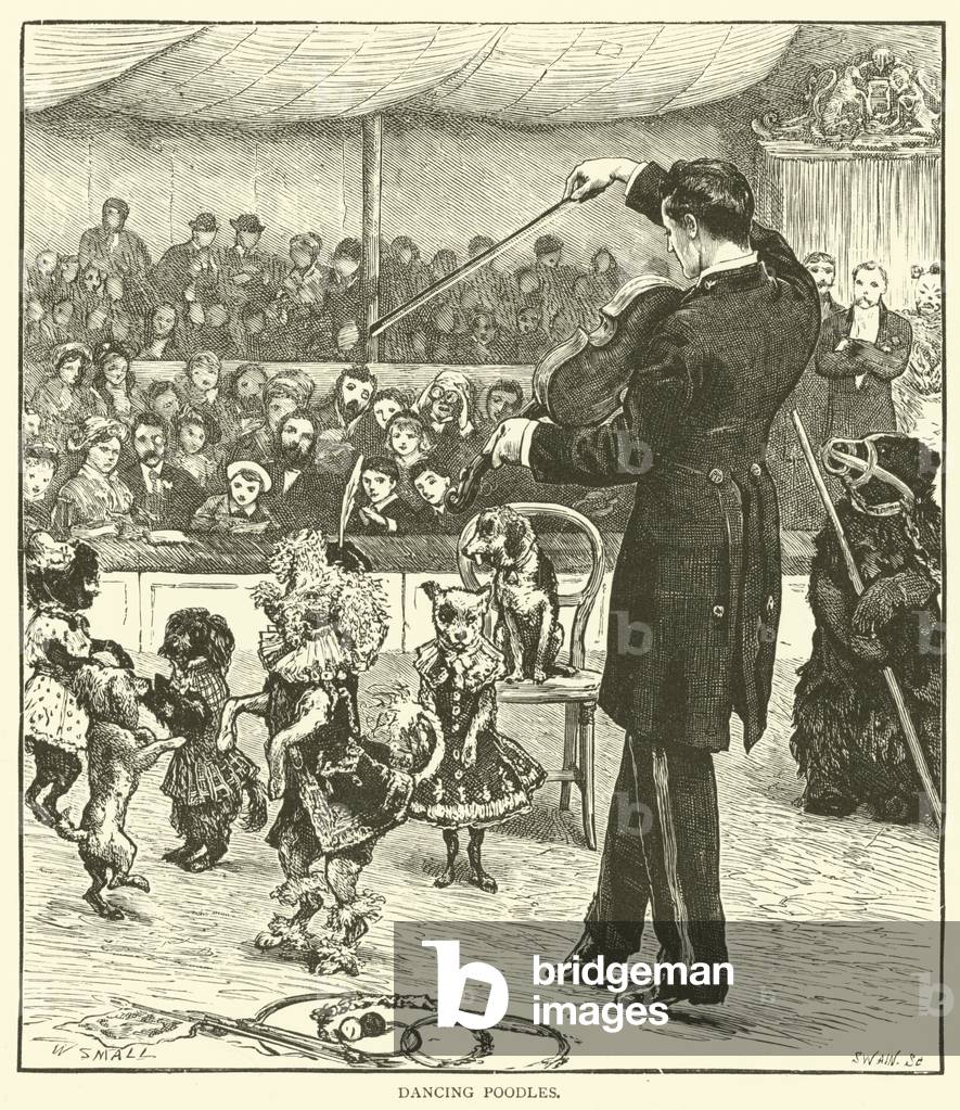Dancing poodles (engraving)
