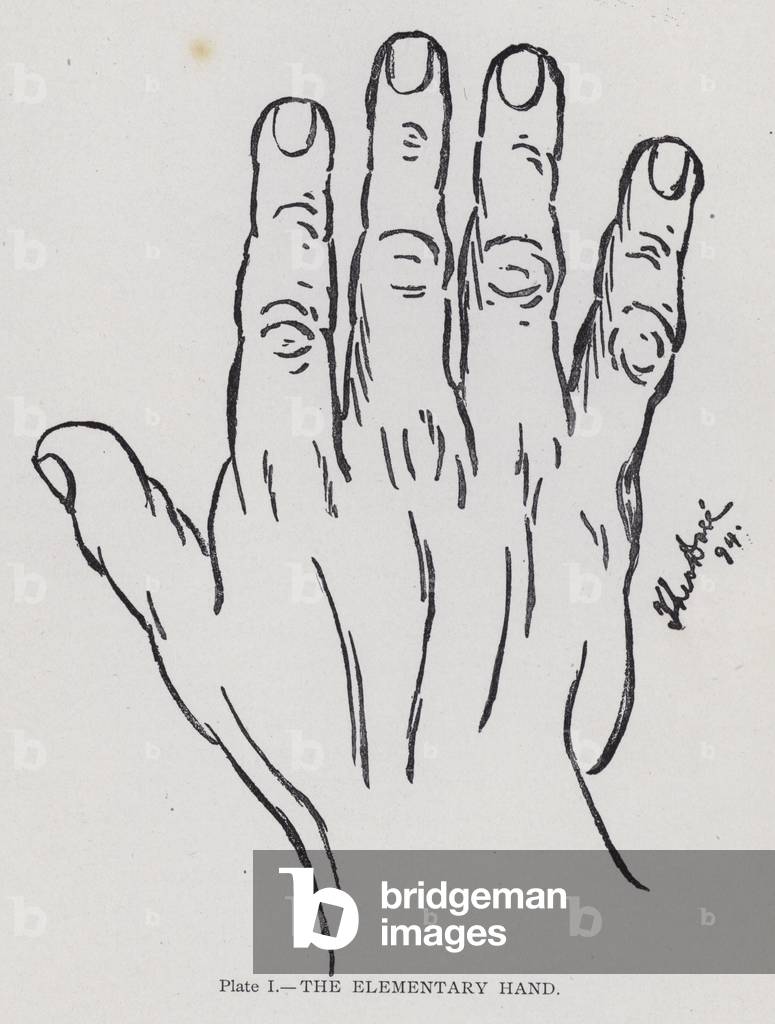 The elementary hand (b/w photo)