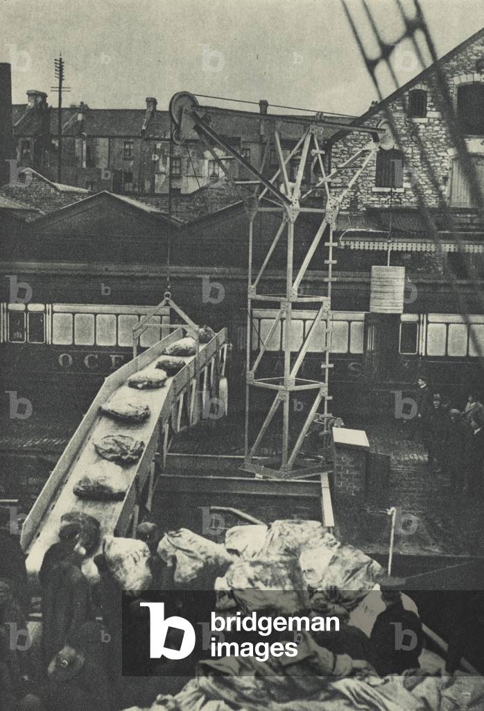 Transferring mails from ship to train (b/w photo)