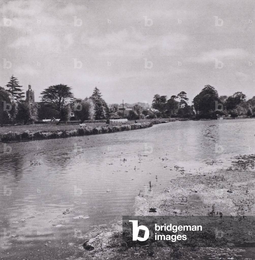 Dorset: Blandford (b/w photo)