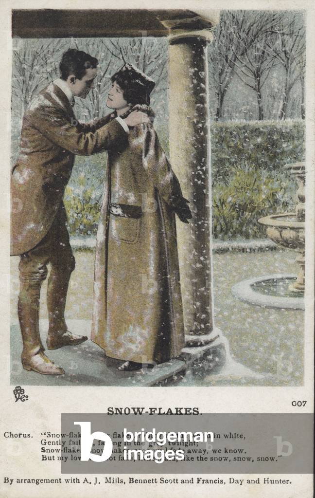 Snow-Flakes (coloured photo)