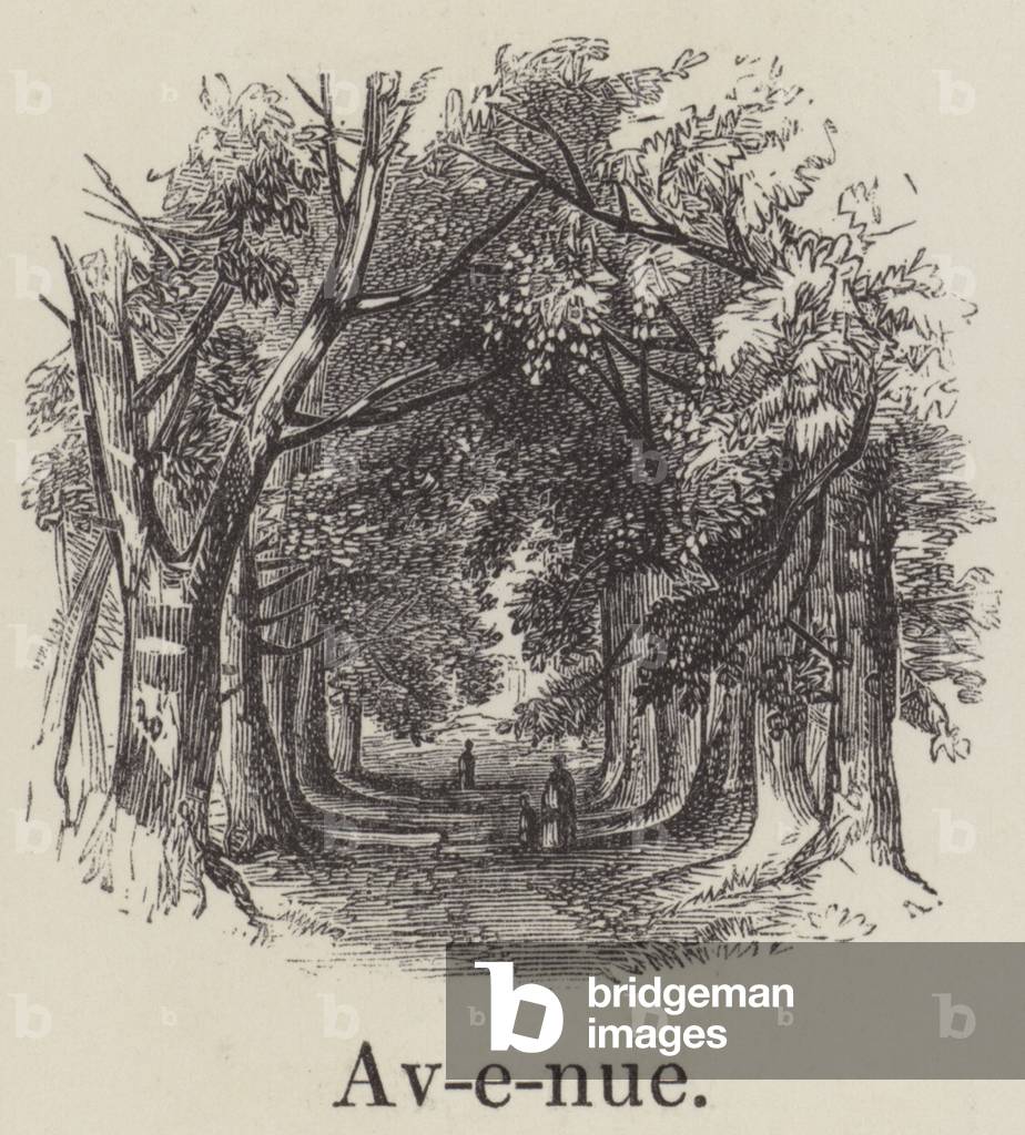 Avenue (engraving)