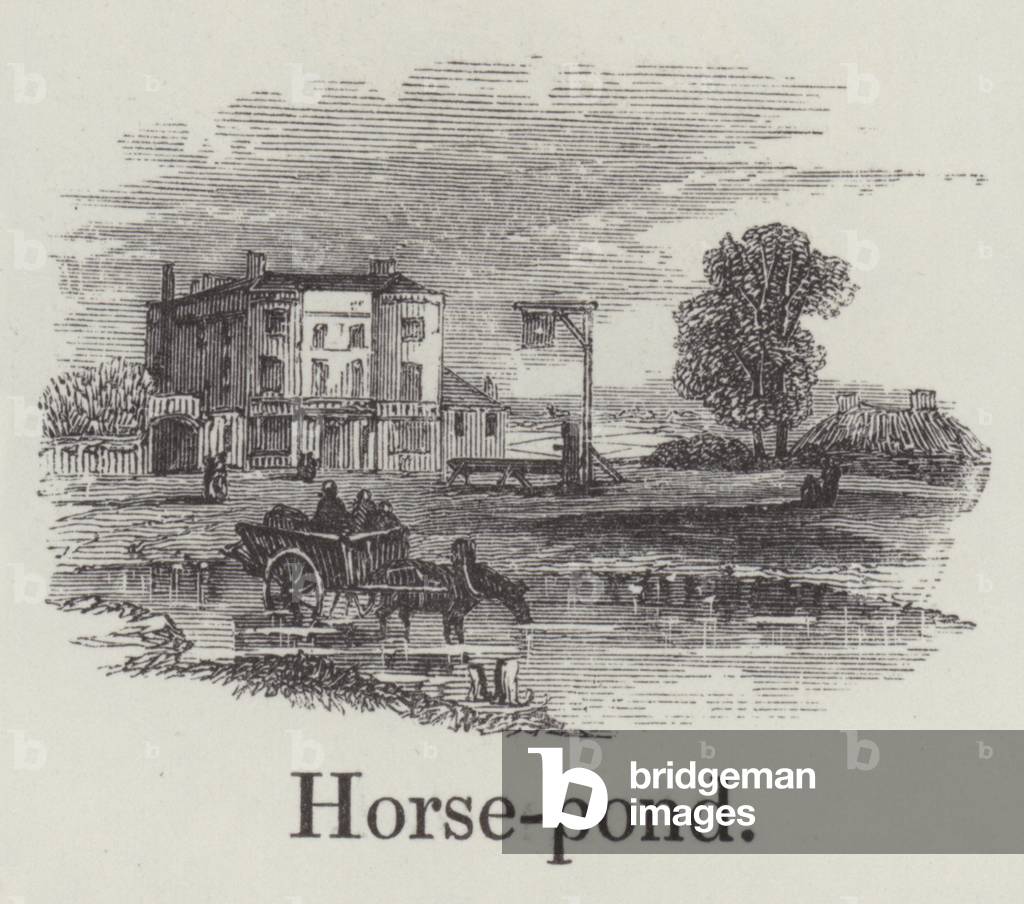 Horse pond (engraving)