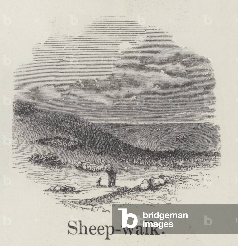 Sheepwalk (engraving)