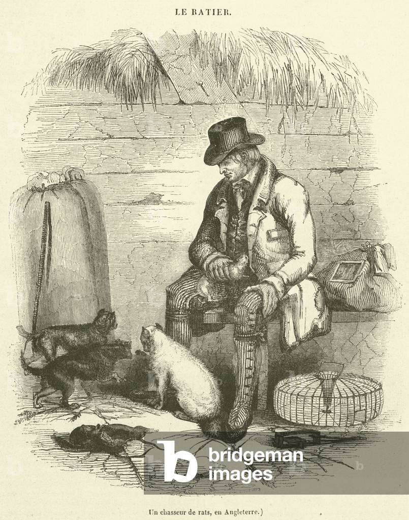 Un chasseur de rats, en Angleterre (engraving)