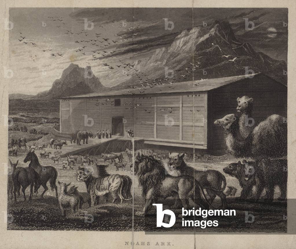 Noah's Ark (engraving)