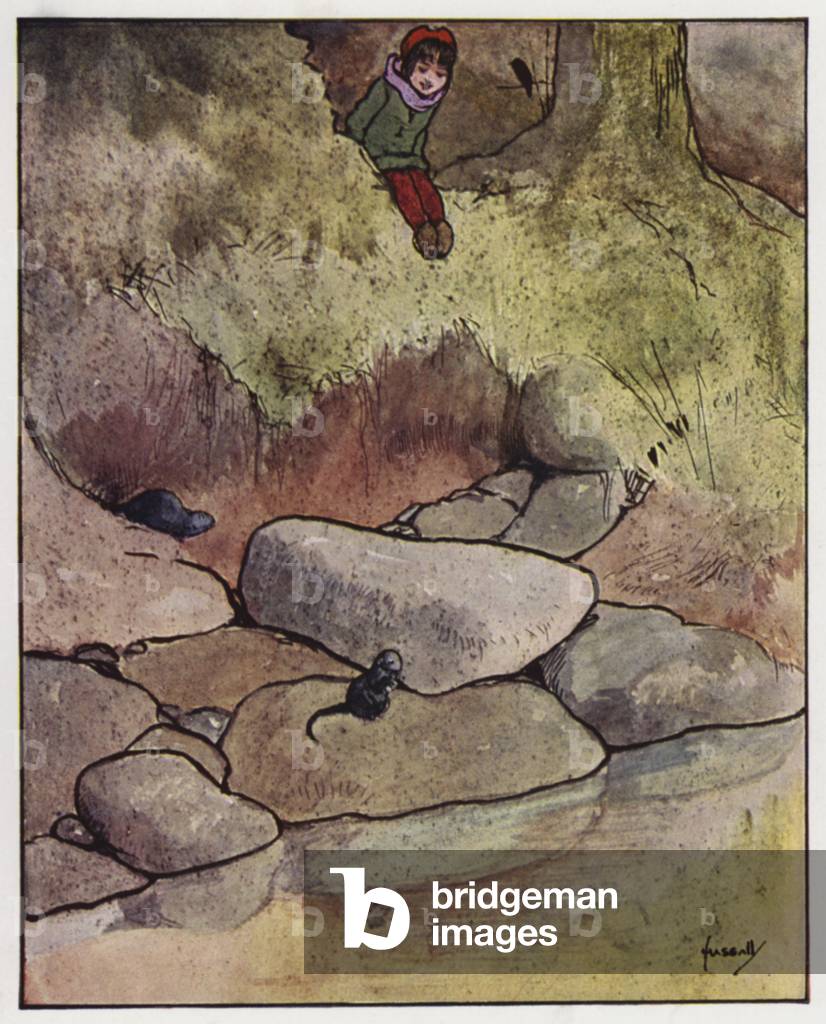 The vole (colour litho)