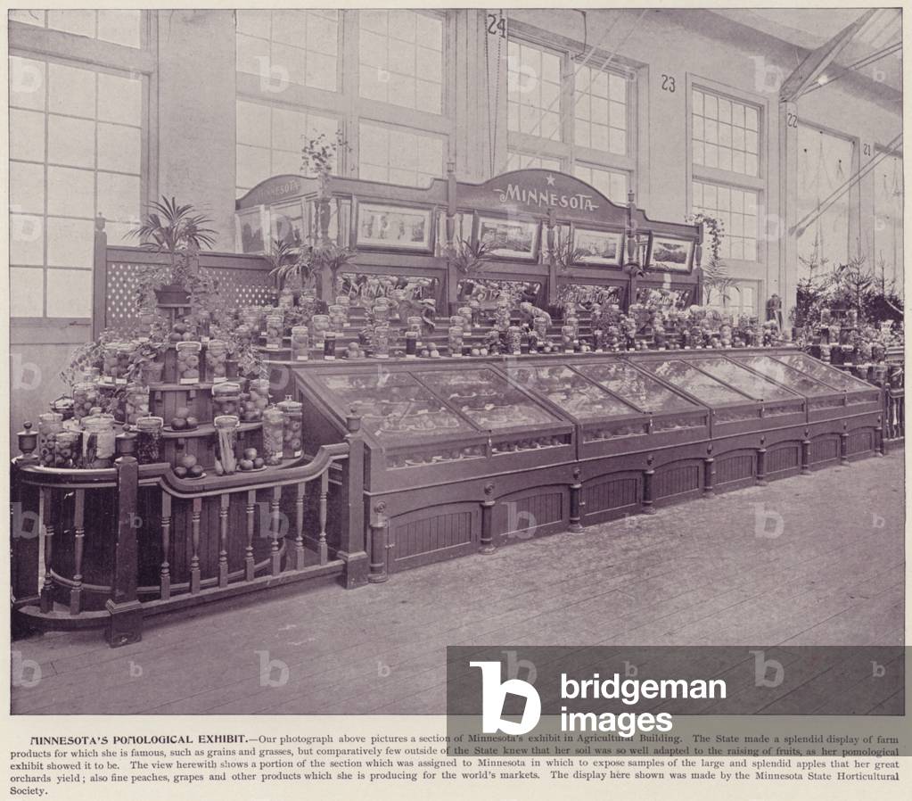 Chicago World's Fair, 1893: Minnesota's Pomological Exhibit (b/w photo)