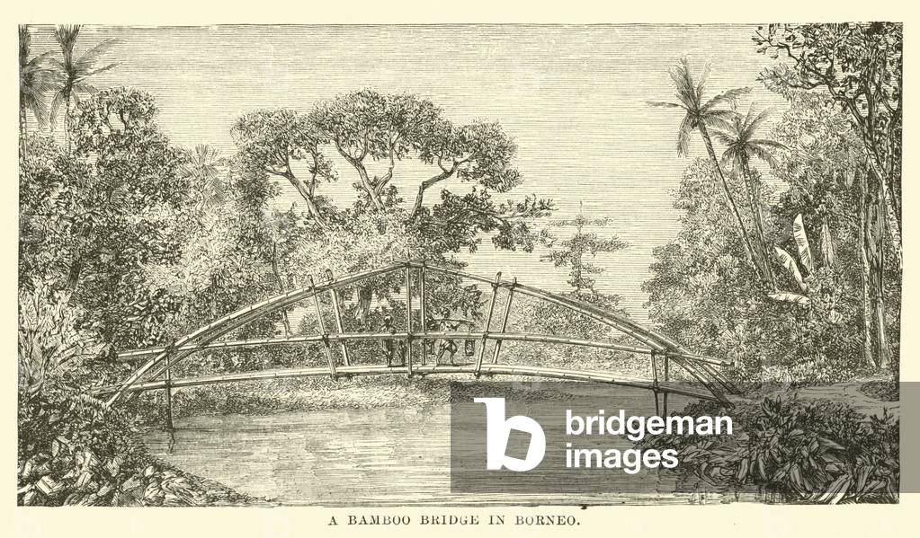 A Bamboo Bridge in Borneo (engraving)