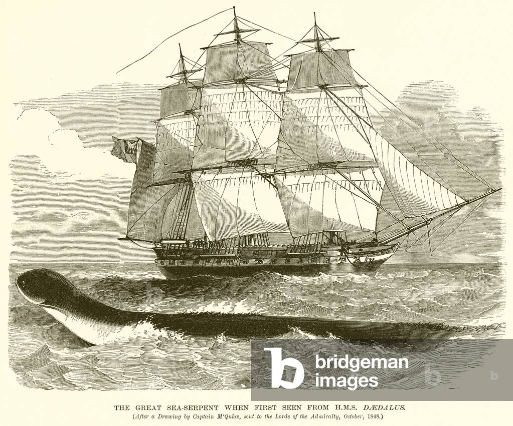 The Great Sea-Serpent when First Seen from H.M.S. Daedalus (engraving)