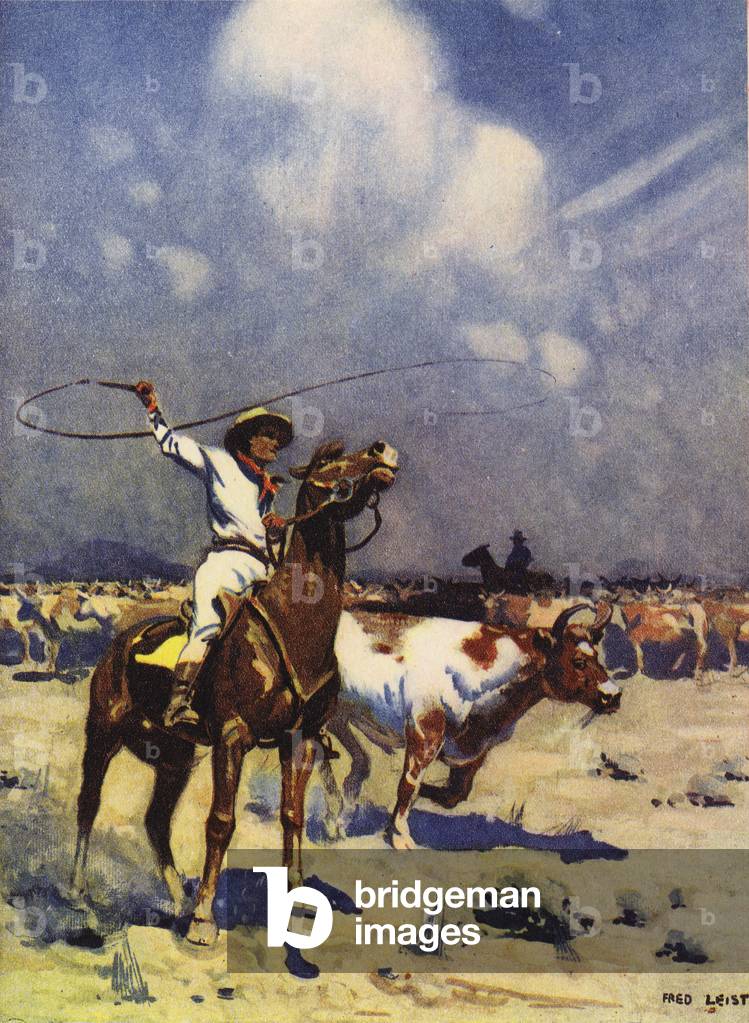 Rounding up a big herd of Australian cattle (colour litho)