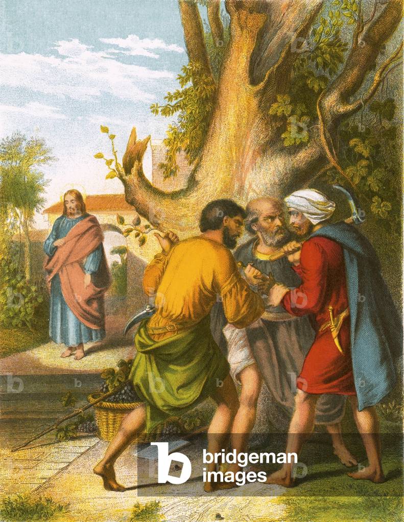 The wicked husbandmen