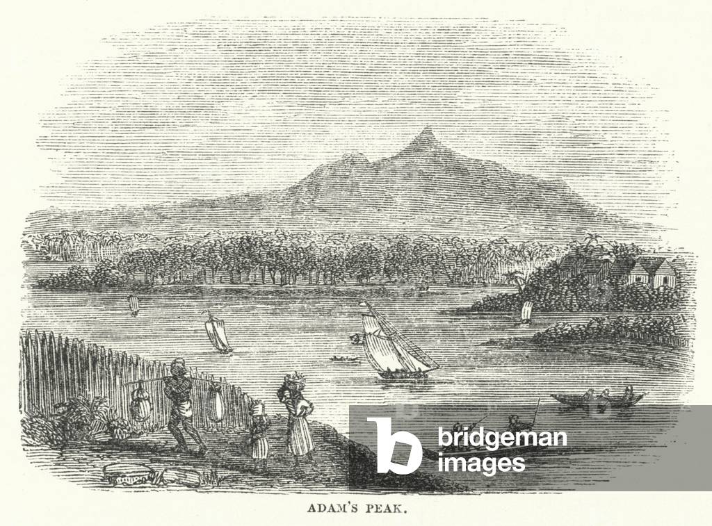 Adam's Peak (engraving)