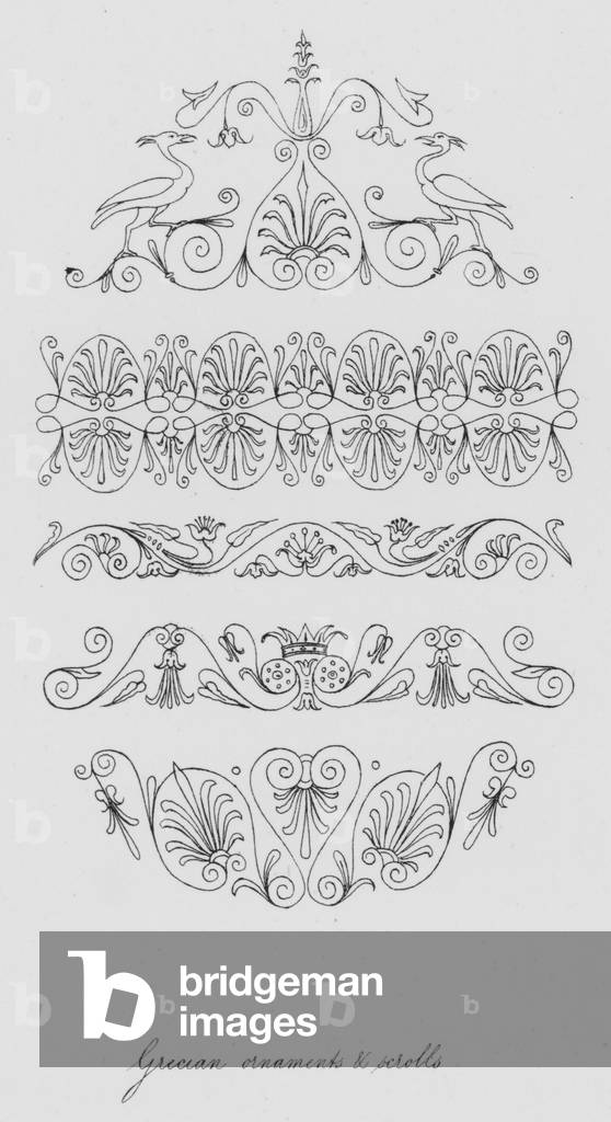 Grecian ornaments and scrolls (engraving)