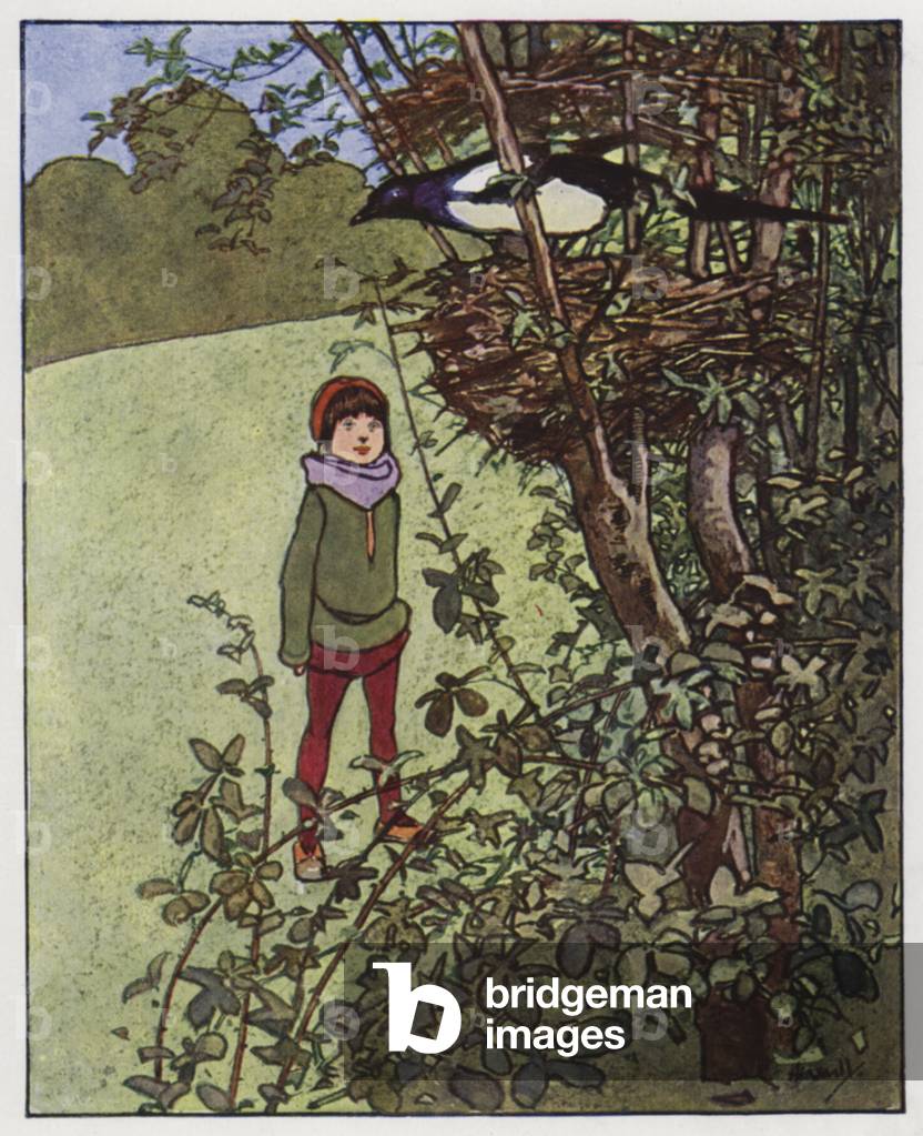 The magpie (colour litho)