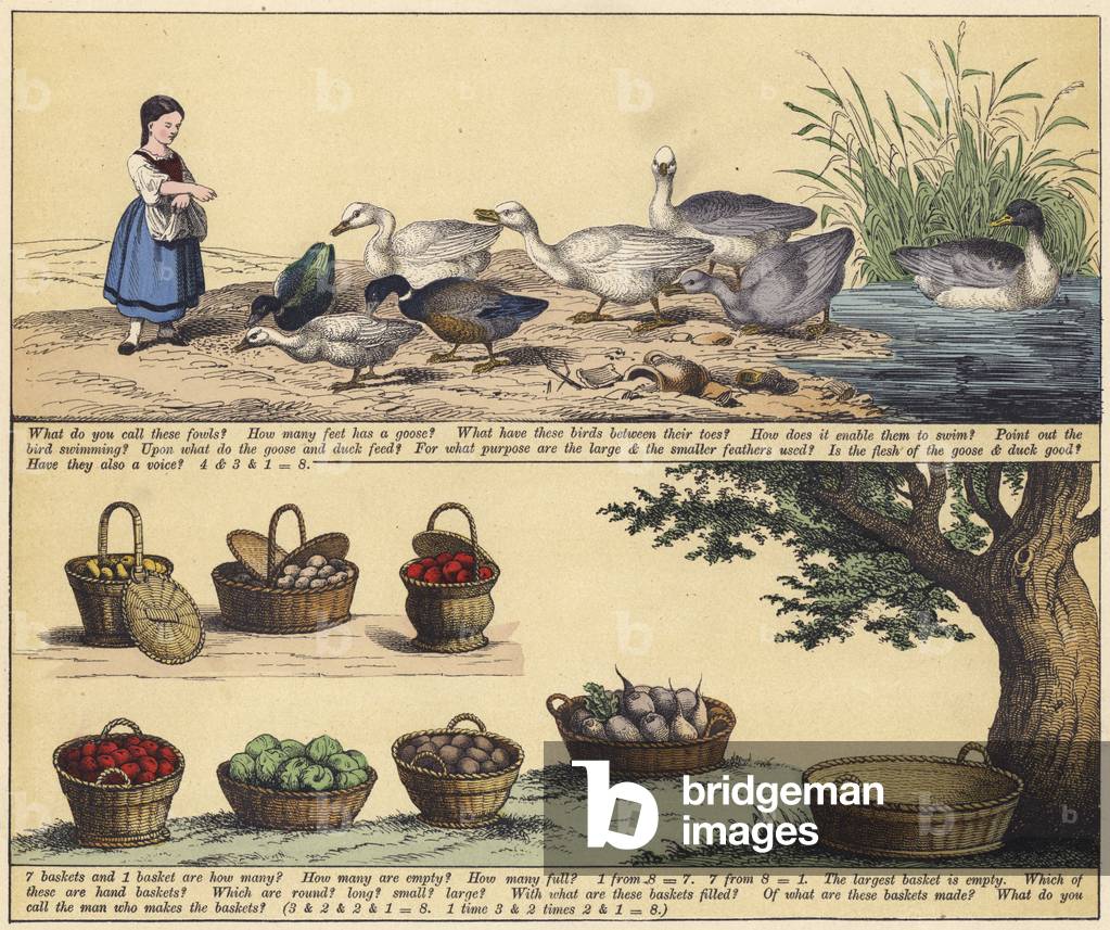 Page from The New Picture Book (colour litho)