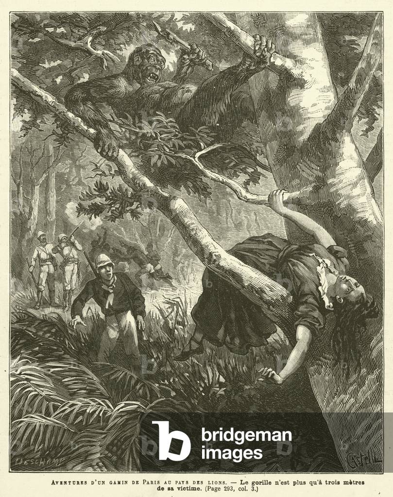 Aventures D'Un Gamin De Paris Au Pays Des Lions (engraving)