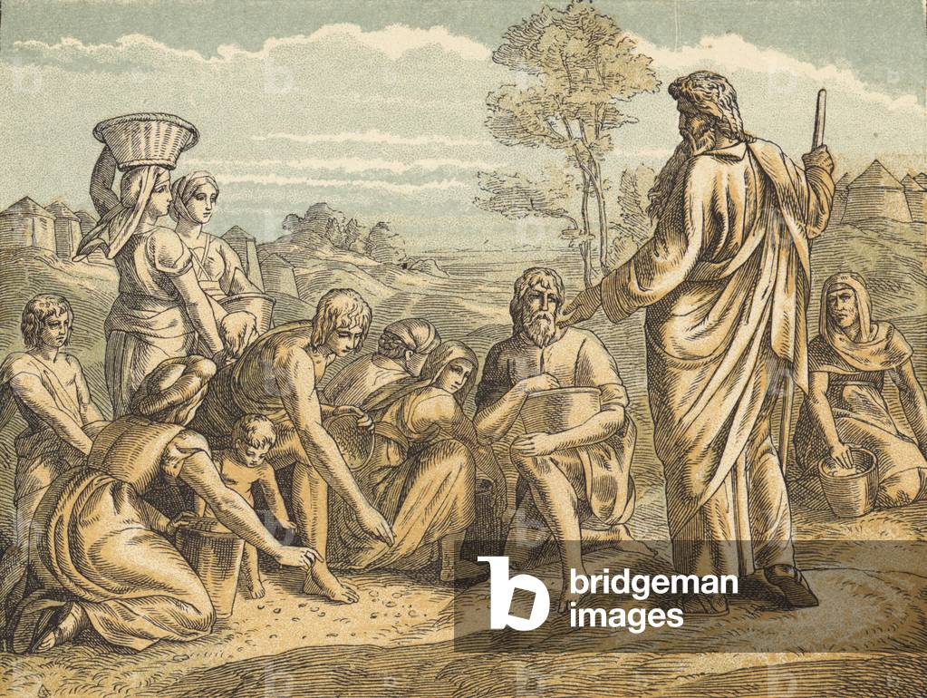 The Manna (coloured engraving)