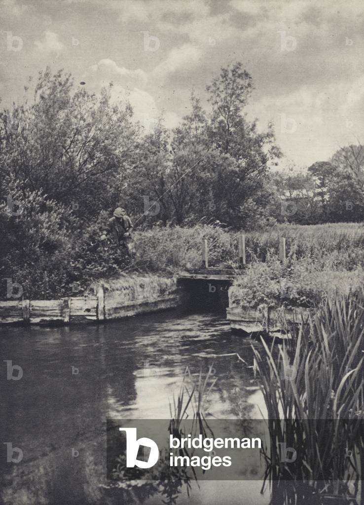 A Small Carrier on the Ramsbury Water (b/w photo)