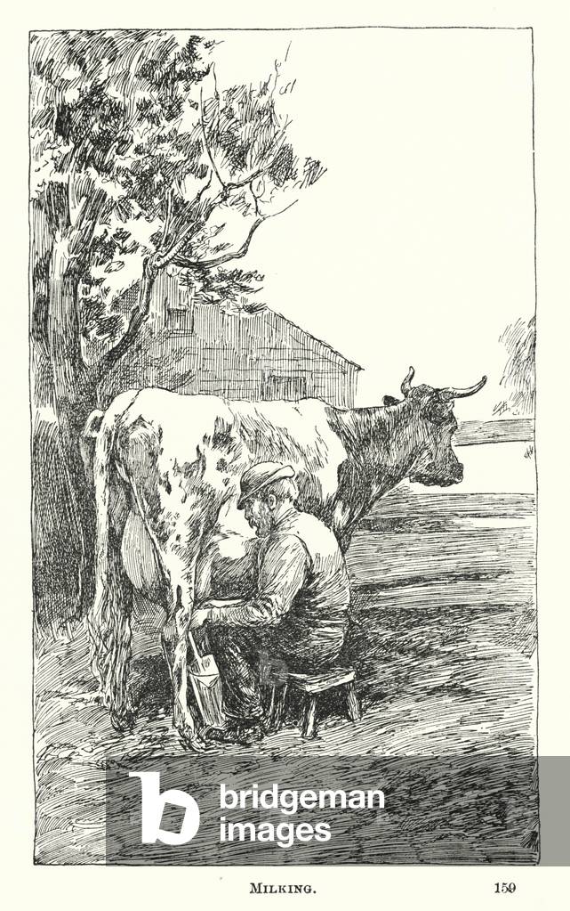 Milking (engraving)