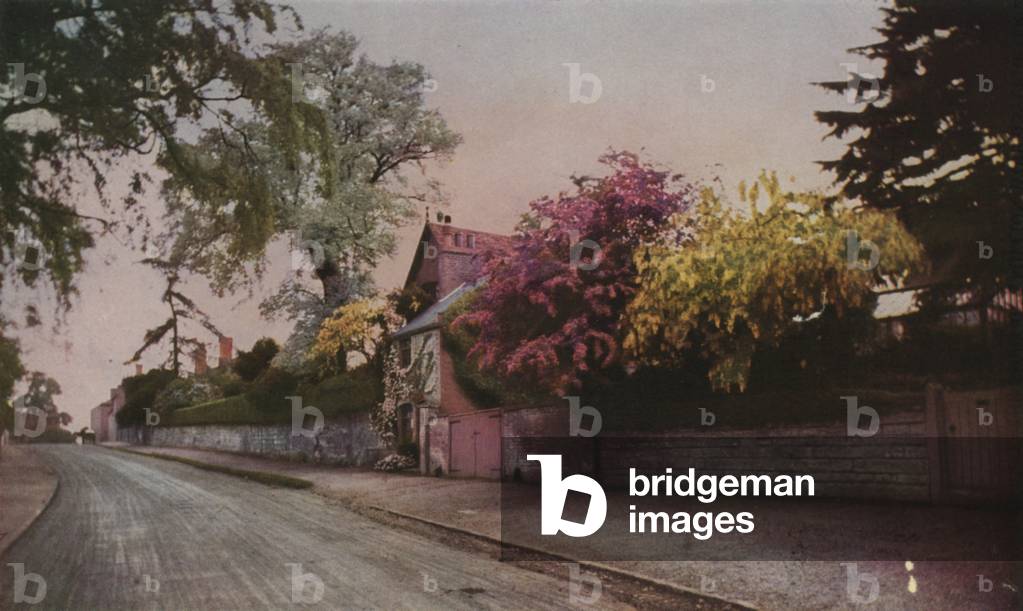 Nature's beauty revealed in colour by photography (coloured photo)