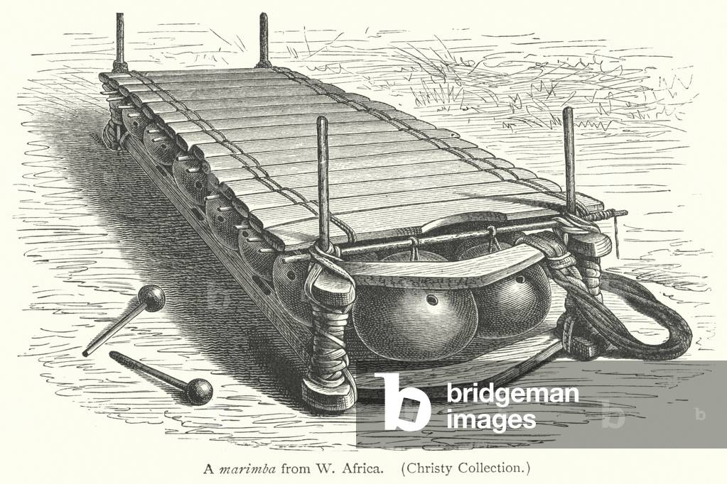 A marimba from West Africa (engraving)