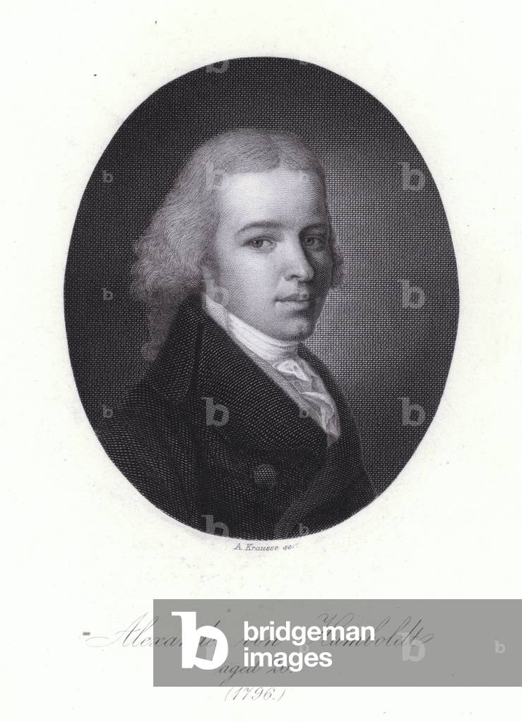 Alexander von Humboldt, German geographer, naturalist and explorer (engraving)