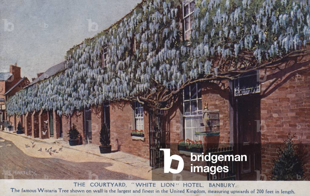 The Courtyard, 