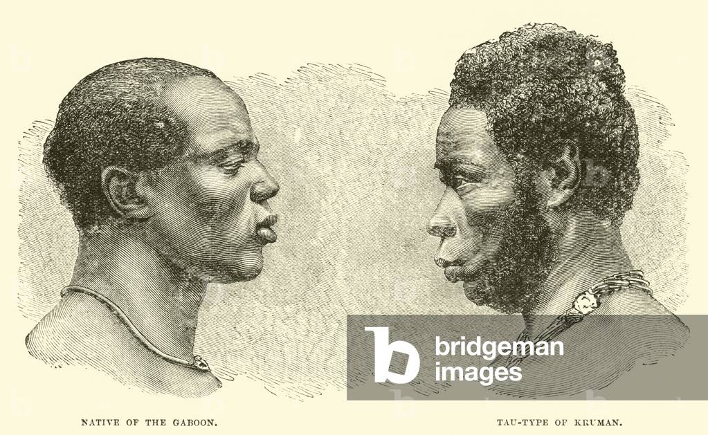 Native of the Gaboon; Tau-type of Kruman (engraving)