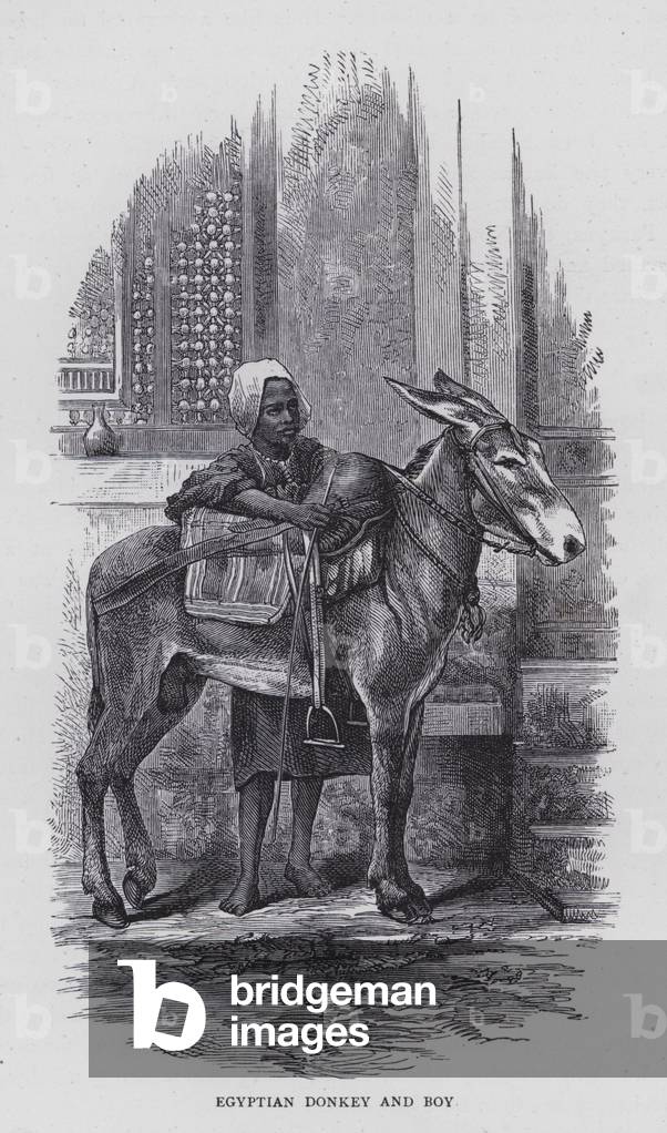 Egyptian Donkey and Boy (engraving)