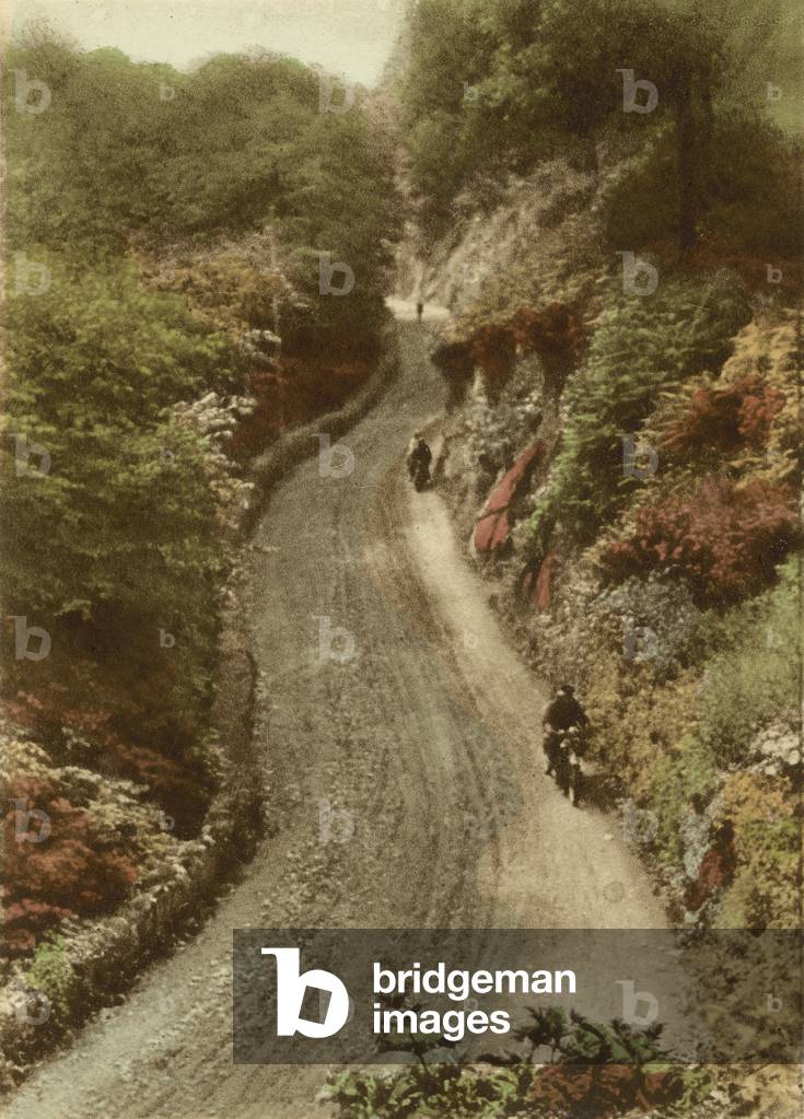 Lynton Hill (colour photo)