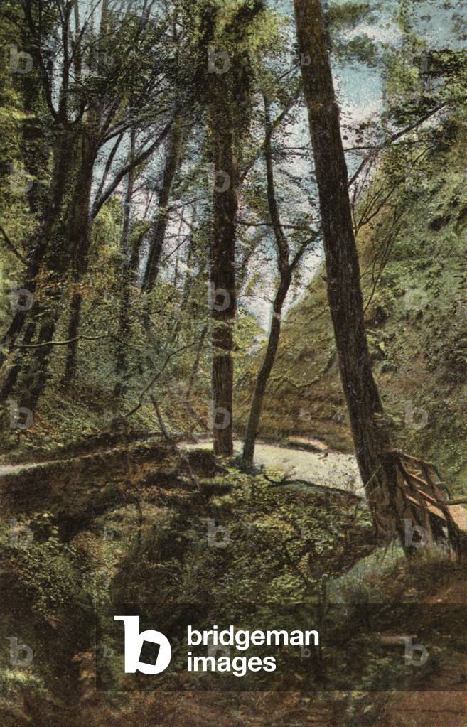 Stone Bridge in Shanklin Chine (photo)