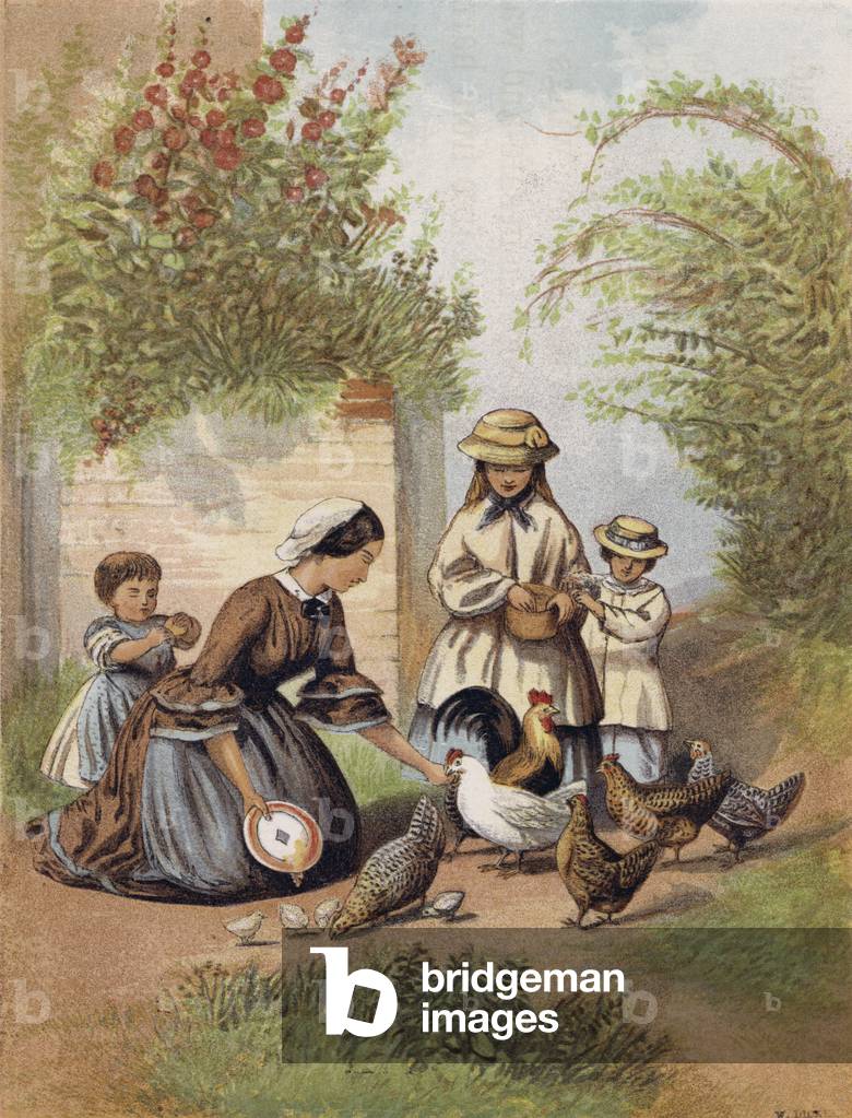 Feeding the Chickens (colour litho)