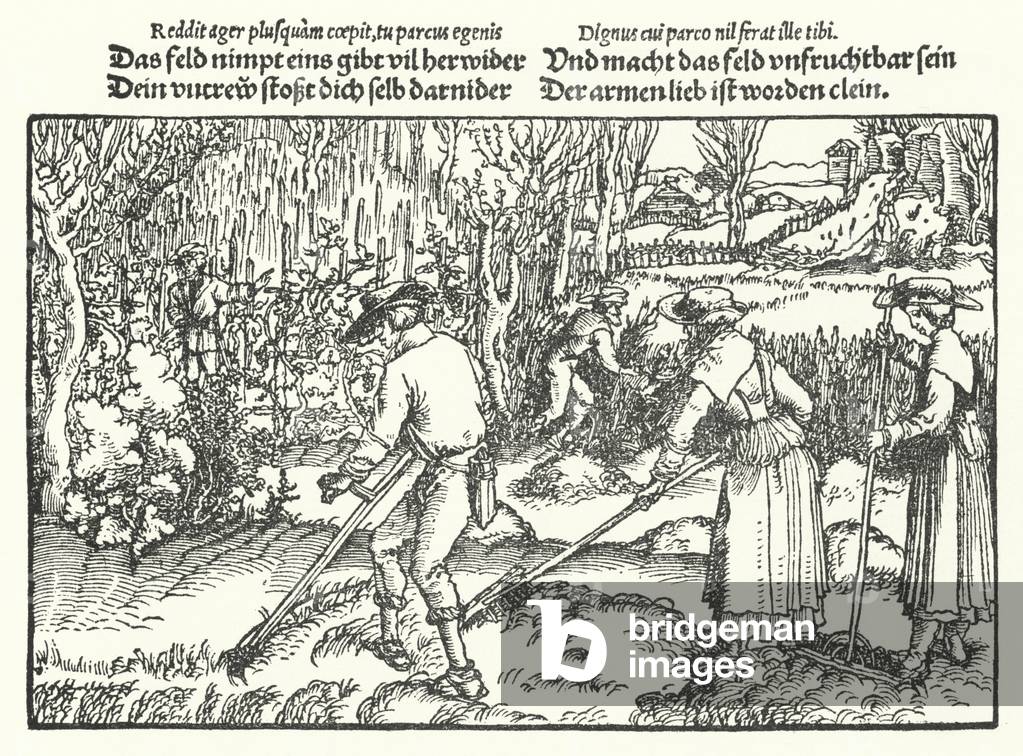 The reapers (engraving)