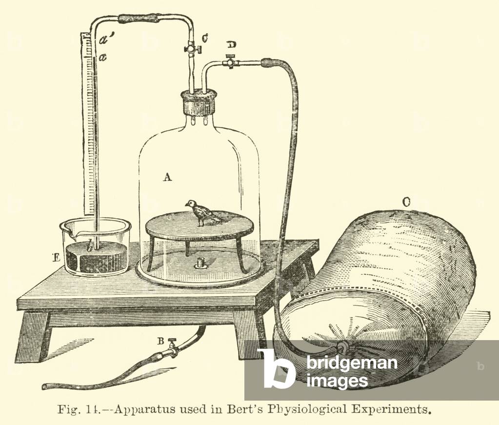 Apparatus used in Bert's Physiological Experiments (engraving)