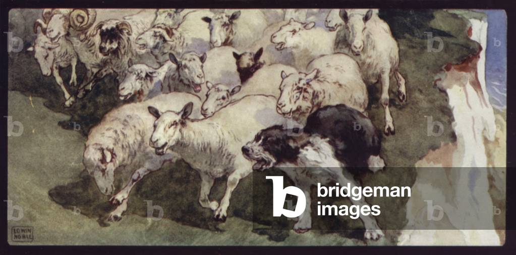 Bobtailed Sheep-Dog and Flock on the Cliffs (colour litho)
