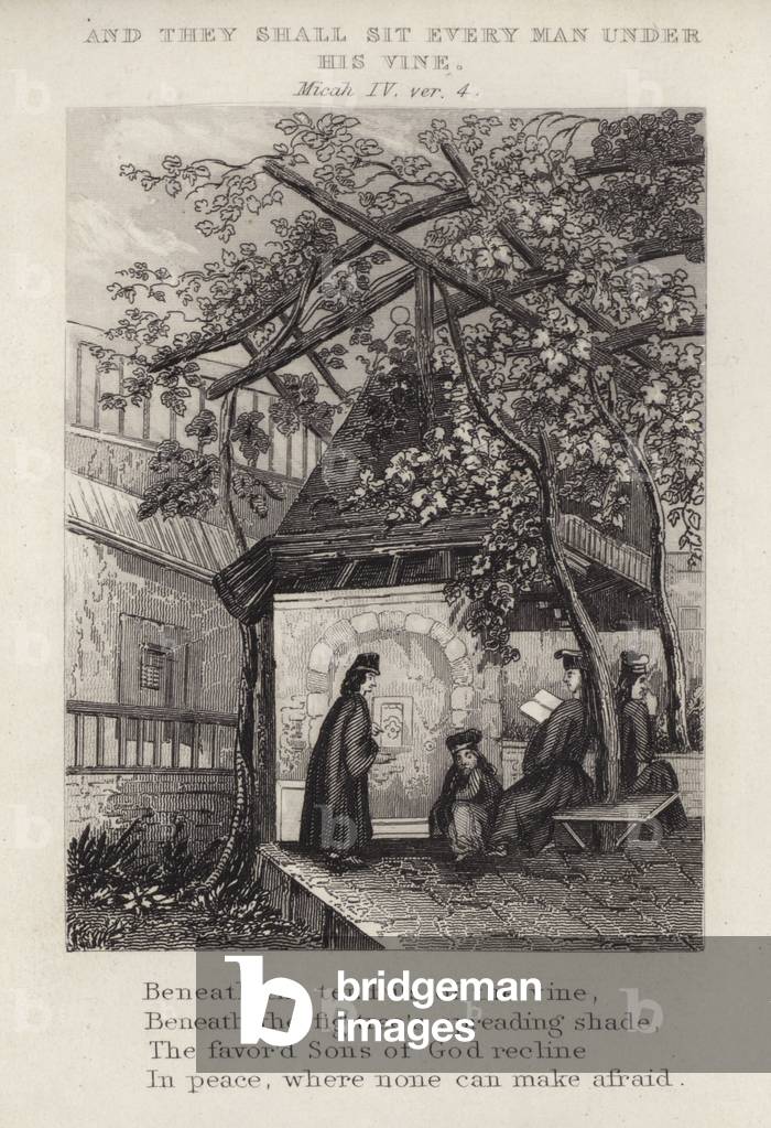And they shall sit every man under his vine, Micah IV, ver 4 (engraving)