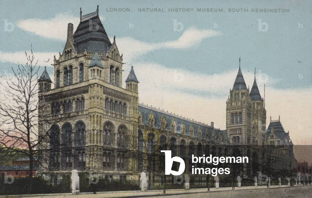 Natural History Museum, South Kensington, London (coloured photo)