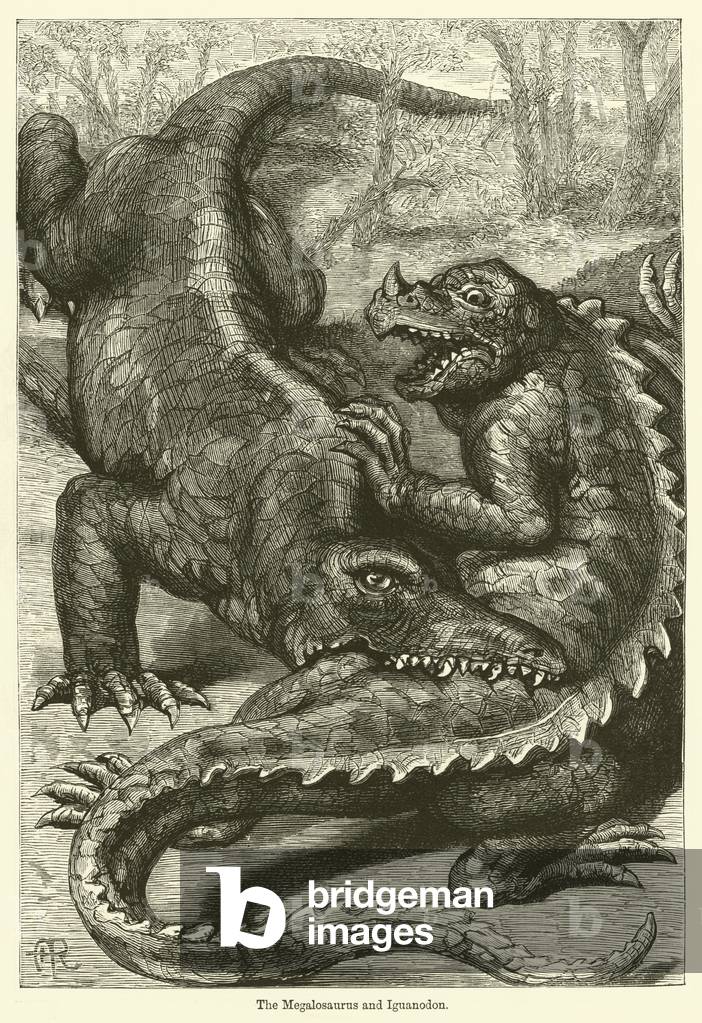 The Megalosaurus and Iguanodon (engraving)