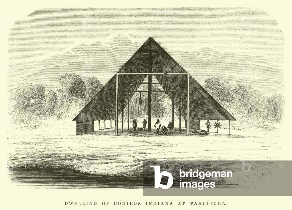 Dwelling of Conibos Indians at Paruitcha (engraving)