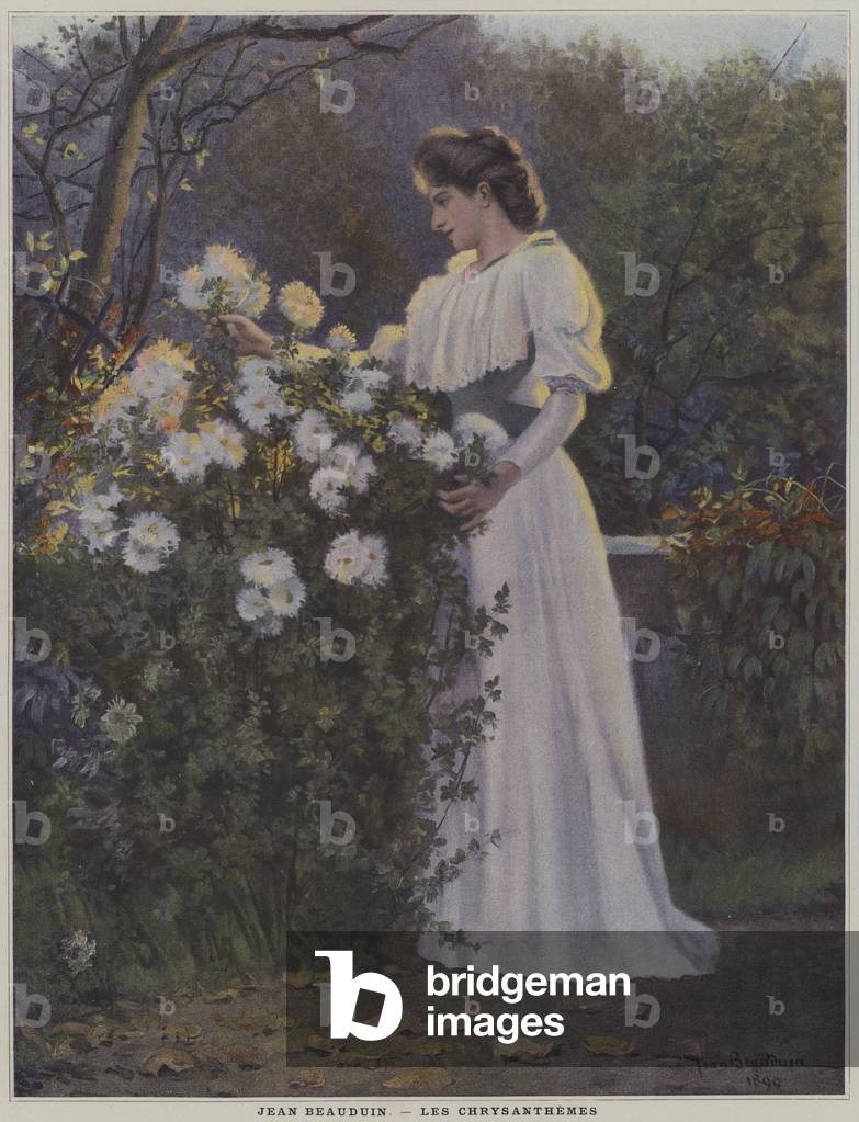 Les Chrysanthemes (Chrysanthemums) (colour litho)