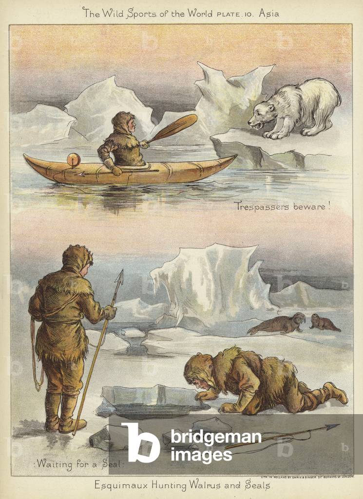 Esquimaux hunting walrus and seals (colour litho)