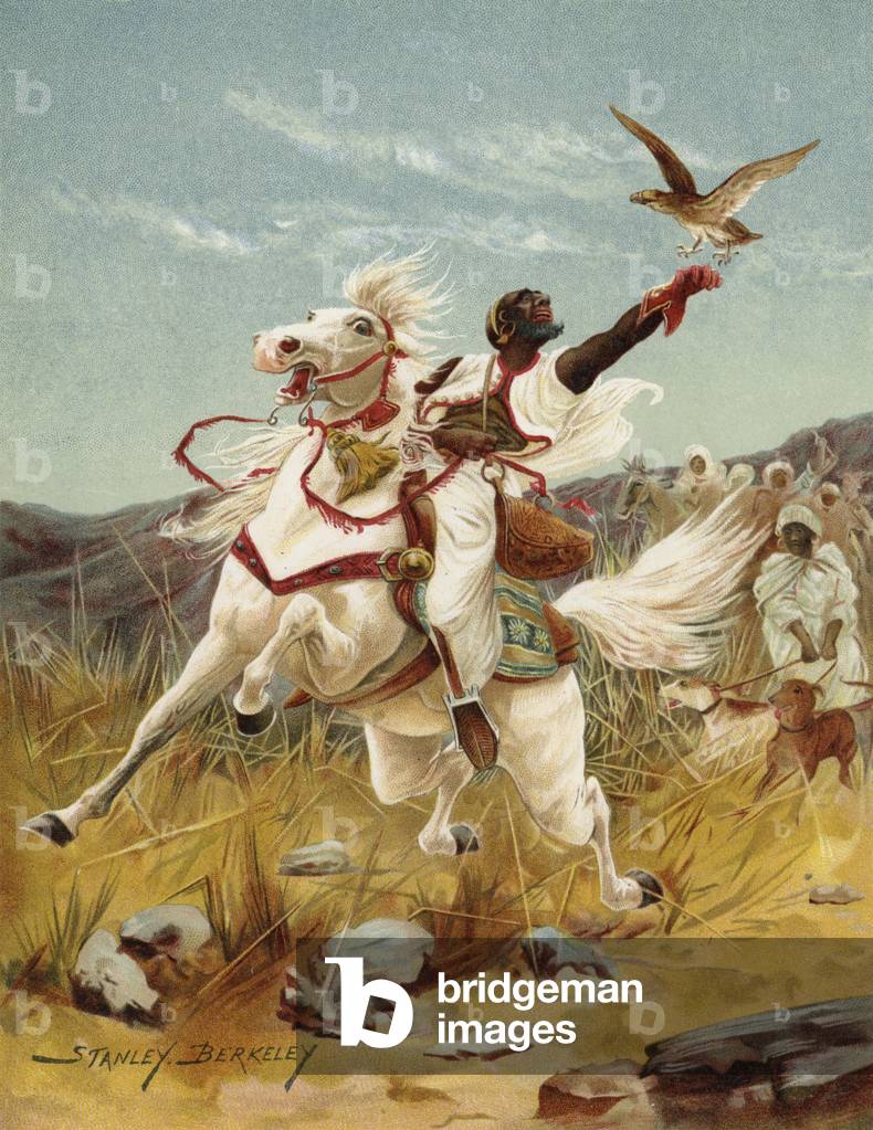 Hawking in Morocco (chromolitho)