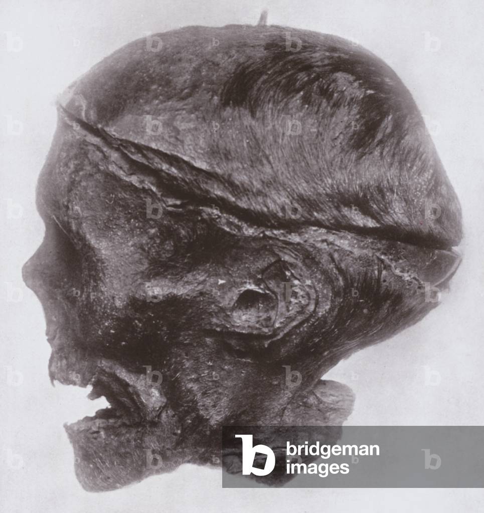Oliver Cromwell's head (b/w photo)